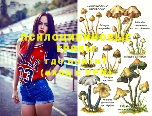 гашик Наволоки